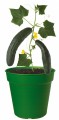 Elho Květináč Green Basics Growpot 30 cm - intense yellow (116)