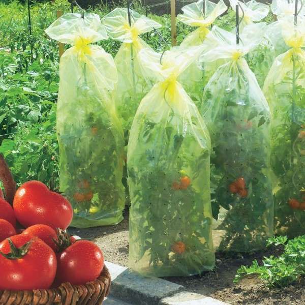 Nortene Kryt na rajčata Tomatotube 50µ - LDPE