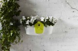 Elho Truhlík Corsica Birdgarden 47 cm 2v1 - white/lime green