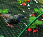 Nortene Síť proti ptákům Birdnet HDPE -