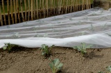 Biocontrol anti-insect net 2,20x10m