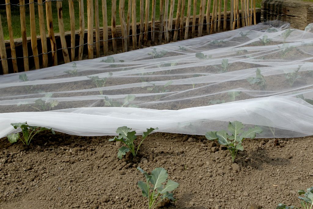 Nortene Biocontrol anti-insect net 2,20x10m