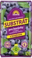 Substrát Forestina - Borůvky 40 l