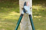 Teleskopické nůžky na větve s kombinovaným chodem a skládací prořezávací pilka - Zahradnický set Burgon&Ball
